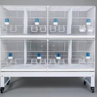 Cage à oiseaux de reproduction de haute qualité, nouveau style, solide, design moderne en fil de fer PP, respirante, disponible en noir et blanc, avec plateau en plastique.