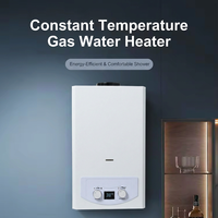 Chauffe-eau instantané au gaz de type cheminée 6-16L à performance stable pour le marché sud-américain