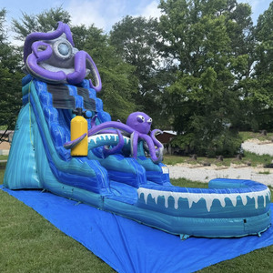 Jellyfish Inflatable <strong>Slide</strong> Cheap Price New Inflatable Water <strong>Slide</strong> <strong>Indoor</strong> <strong>Slide</strong> for Kids Inflatable Pool with <strong>Slide</strong> - Product Image 6