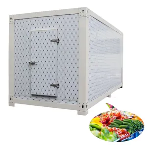 Mobile Cold Rooms For Sale in stock reefer container