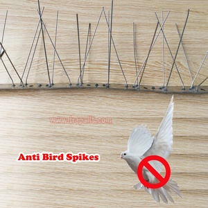 Protecteur de toit extérieur en acier inoxydable Pigeon Squirrel Control Cat Defender <span class=keywords><strong>Anti</strong></span> Bird Spikes - Product Image 5