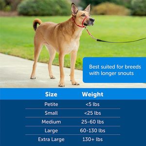 2024, superventas, líder suave, sin tirones, collar para la cabeza de perro, accesorios de entrenamiento para perros, correa para Collar de perro sin tirones para caminar fácilmente - Product Image 6