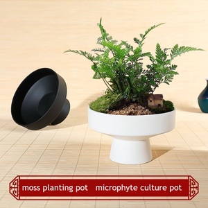 Dia.13cm H.8cm lindo clásico grande poco profundo redondo plástico <span class=keywords><strong>ciruelo</strong></span> flor <span class=keywords><strong>bonsai</strong></span> maceta con tallo alto - Product Image 4