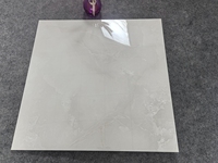 Matériaux de construction : Carreaux de porcelaine émaillée pleine brillance aspect marbre 60x60, prix de gros, pour murs et sols