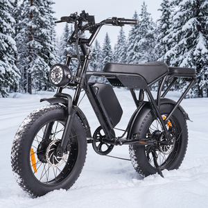 Lokaler US-Lagerbestand: Wins T8 Elektro-Fatbike mit 20*4.0 Reifen, Scheibenbremsen, Dual-<span class=keywords><strong>Motor</strong></span>, 250W/750W - Product Image 1