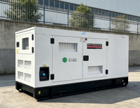 Générateur diesel haute efficacité 300 kW triphasé 400 kVA silencieux avec volant d'inertie, alimenté par un moteur Ricard refroidi par eau