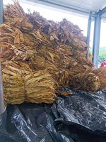 Hoge-efficiëntie warmtepompdroger voor fruit & groenten |   Industriële heteluchtdehydrator voor het drogen van tabaksbladeren
