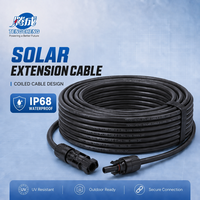 Kabel Ekstensi Tembaga Berlapis Timah XLPE Industri IP67 1KV/1.5KV 1M/2M/3M/5M untuk Panel Surya 2.5mm/4mm/6mm Konektor MC 30A