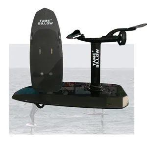 E-Foil Electric Foil Board SurfHydrofoil Surfing Hydrofoil電気サーフボード (バッテリーとモーター付き) Efoil (フォイルボード)