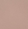 Sakura rose