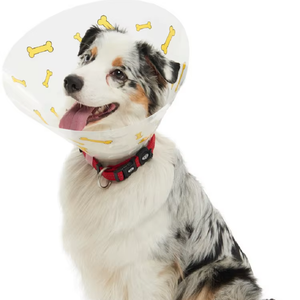 <span class=keywords><strong>Elisabeth</strong></span> Pet Shield Protecteur de morsure de chien Collier de toilettage résistant aux rayures Collier de léchage de chat Service de coupe personnalisé - Product Image 1