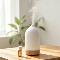 Diffuseur d'aromathérapie pour la décoration de la maison, diffuseur d'huiles essentielles en céramique USB, humidificateur d'air ultrasonique 200 ml