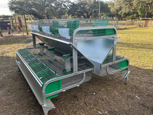 Jaulas para Conejas Madres y Crías Equipamiento para Granjas de Cunicultura - Product Image 2