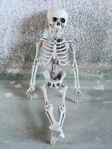 Esqueleto de Calavera Colgante para Halloween, Decoración de Casa Embrujada, Cuerpo Humano, Sala Secreta, Momia, Accesorios Divertidos para Escenas - Product Image 3