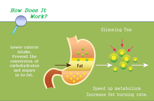 GANOHERB cina all'ingrosso OEM sottile miscela di tisana ingredienti naturali bustine di tè fornitura di fabbrica a prezzo competitivo - Product Image 4