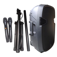 Système de haut-parleurs PA professionnel 250W 2 voies 15 pouces Haut-parleurs de fête puissants BT TWS Audio Microphone UHF Support Batterie rechargeable Télécommande