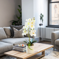 Usine directe Phalaenopsis bonsaï fleur artificielle doux naturel réel toucher décoration de la maison à vendre