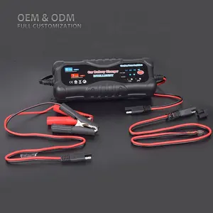 12V DC電源モードおよびバッテリーデサルフェーターモード電圧240Vを備えた鉛蓄電池用の自動12V/24V充電器