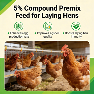 Prémélange d'additifs alimentaires multivitaminés, minéraux et acides aminés pour <span class=keywords><strong>poules</strong></span> pondeuses, stimulant immunitaire - Product Image 1