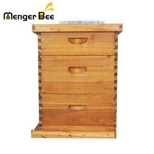 Colmena Langstroth de Alta Calidad con Revestimiento de Cera para Apicultura, Precio en Estado Nuevo - Product Image 4