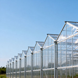 دفيئة زراعية تجارية كبيرة متعددة الامتدادات بطبقة واحدة من غشاء البولي إيثيلين، ذات هيكل ثابت وتكلفة منخفضة وعائد إنتاج مرتفع - Product Image 3