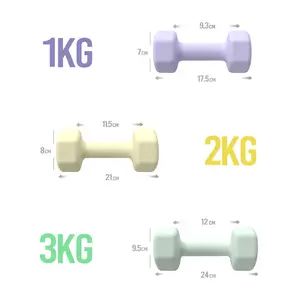Производство гимнастического чугуна, разноцветные 1 кг шестигранные резиновые пластиковые гантели для фитнеса