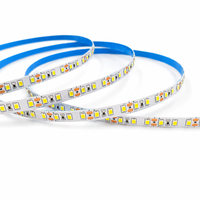 Promotion : Bande LED Dimmable SMD2835 12V 24V IP20 8mm 120 LED Monocolore Blanc Chaud pour Décoration Intérieure et Rétroéclairage TV (Cuivre)