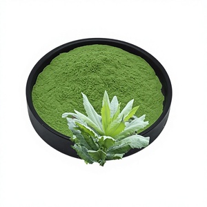 Bladgras-<span class=keywords><strong>extract</strong></span>, geconcentreerd bladgraspoeder, bladgras-eiwitpoeder, grondstofproductie van plantenextracten - Product Image 1