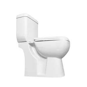 Chao Zhou Factory Inodoros Sanitary Ware P Trap Toilet Wc Western Gravity Flush Bathroom Ceramic 2 Piece Toilet Bowl