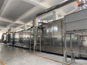 Thép Không Gỉ Nhân Tạo Gạo Thiết Bị Sản Xuất Tự Động Dinh Dưỡng Gạo Dây Chuyền Sản Xuất Với New - Product Image 6