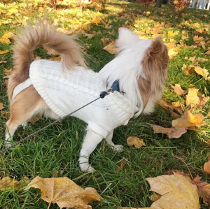 Ropa Abrigada para Mascotas Perros y Gatos Otoño Invierno Ropa para Perros Pequeños Abrigo para Cachorros y Gatos Chaqueta Suéter de Color Sólido para Perros - Product Image 6