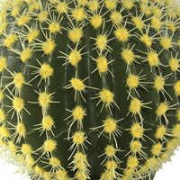 CHUANGFA 39cm Cactus Artificiel Vert Moderne Petite Plante Décorative en Mousse Plastique pour Maison Jardin Mariage Fête des Mères Cadeau