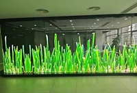 Écran LED transparent flexible de forme incurvée pour vitrine de magasin de détail