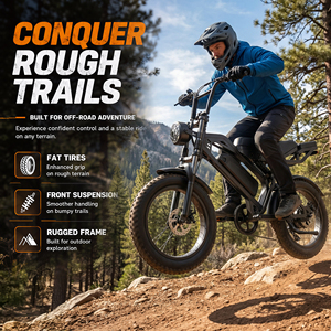 Vélo Électrique Tout-Terrain Rétro 1000W à Pneus Larges, 48V, Suspension Intégrale, 2 Places, Vente en Gros, Personnalisable, Fabrication OEM ODM - Product Image 6