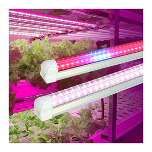 Pencahayaan tabung LED T8 spektrum penuh efisiensi tinggi untuk sistem pertumbuhan hidroponik, Microgreen, taman Mini, pertanian vertikal