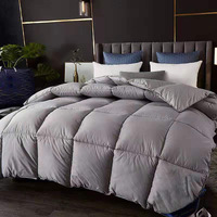 Couette d'hiver épaisse de 8 kg en alternative au duvet, qualité hôtelière, en soie-coton, pour la Chine, livraison directe, idéale pour les maisons d'hôtes printemps-automne