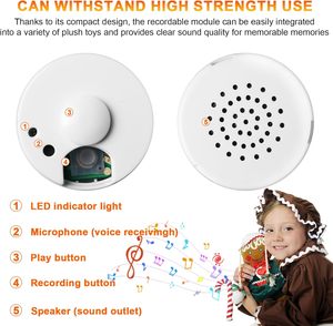 Knuffels 60 Seconden Opname Afspelen 4.5V Plastic Mini Voice Recorder Knuffel Met Helder Geluid Muziekmodule - Product Image 3