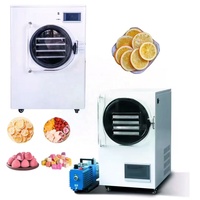 Lyophilisateur professionnel commercial à usage domestique de petite taille pour fruits, légumes et bonbons – Machine de séchage par congélation sous vide – Australie
