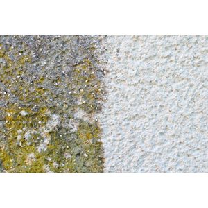 Pulizia delle facciate a Esslingen e Nürtingen - Product Image 1