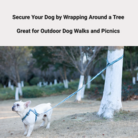 Laisse pour chien mains libres réglable en jacquard, avec quincaillerie en alliage de zinc durable, idéale pour la marche, la course et les activités de plein air