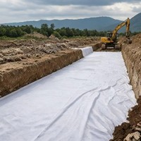 Géotextile industriel non tissé en plastique PP/PET écologique de haute qualité 100-800 g/m² provenant de fabricants chinois à prix préférentiels