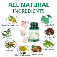 Extrait de Garcinia Cambogia à base de plantes sauvages, 60 capsules, soutien du métabolisme, capsules pour le contrôle du poids