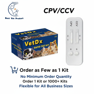 Test Rapido per Parvovirus Canino ad Alta Sensibilità, Kit per Diagnosi di Malattie, Strumenti Veterinari - Product Image 4