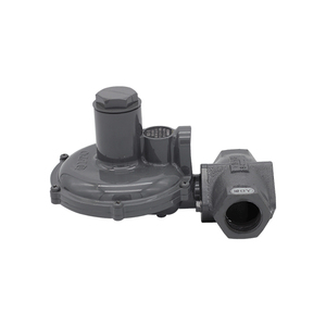 Régulateur de gaz à ressort de capacité Amco Fiorentini - Product Image 5