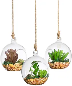 Großhandel Glas hängen Terrarium Sukkulente/Moos/Luft Pflanze Terrarium Globe Form Hausgarten Dekor