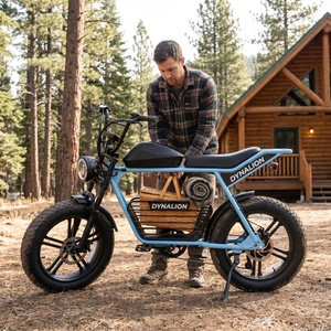 Bicicleta Eléctrica Ergonómica Vintage con Shimano de 7 Velocidades, Pedelec Premium para Exploración en Cabanas de Montaña - Product Image 1