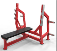 Banc plat professionnel robuste pour l'entraînement musculaire en salle de sport commerciale