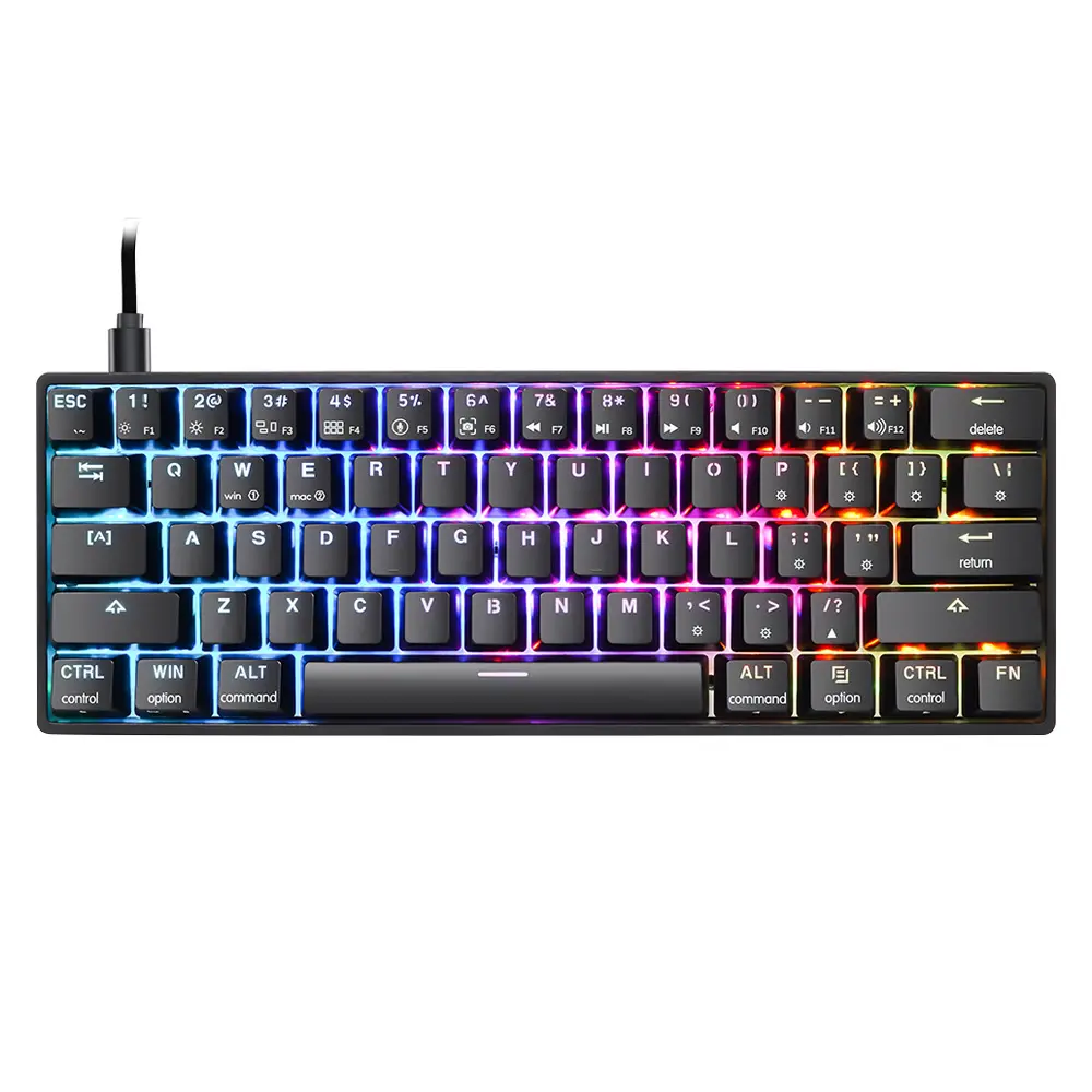 60% 61 Key ABS Keycaps Gateron Switch Wired RGB Gaming Mechanical Keyboard Skyloong Sk61