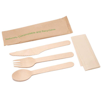 Ustensile biodégradable Couverts Cuillère Fourchette en bois Ensemble pour la cuisine