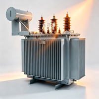 Transformateur de distribution de puissance triphasé immergé dans l'huile Taishun S11 50 kVA 50/60 Hz 6,3 kV 10 kV